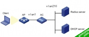 VLAN下发典型组网