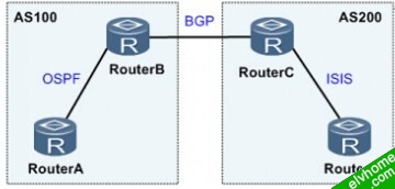 IGP引入BGP示意图